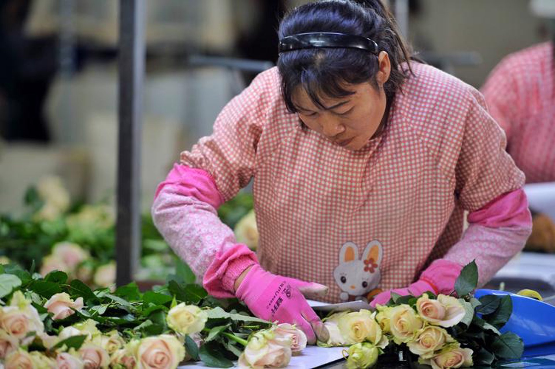 花仙里花卉电商
