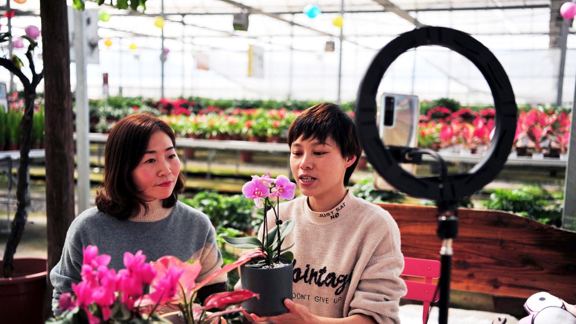 花仙里花卉电商
